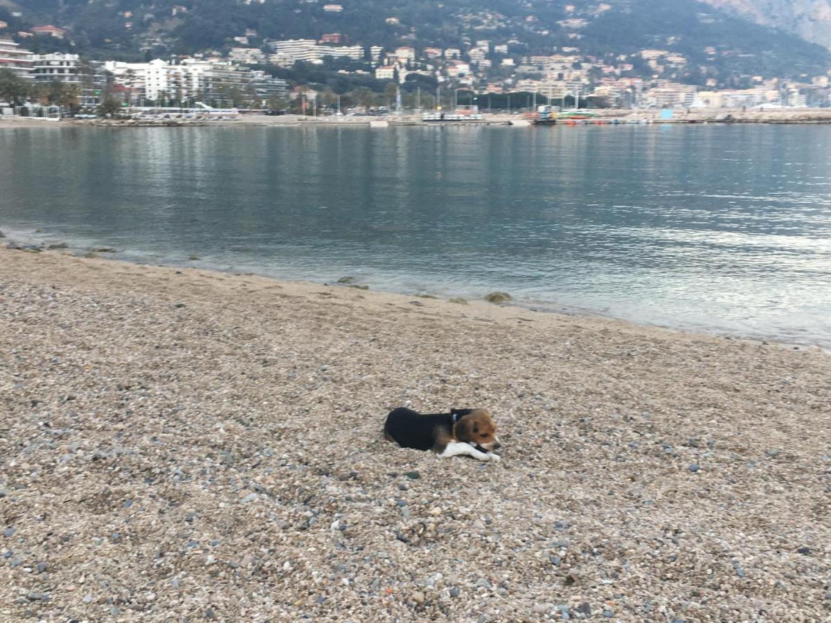 Appartement Maroelvi Menton Eksteriør bilde